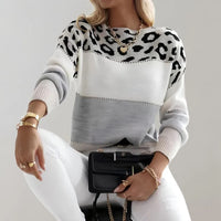 Karen | Women's Colorblock Leopard Print Sweater